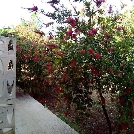 Holiday home Grazia Vieste